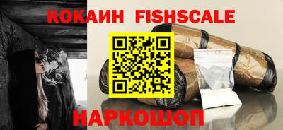 индика Кингисепп