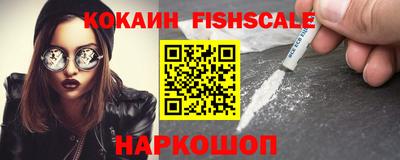 индика Кингисепп