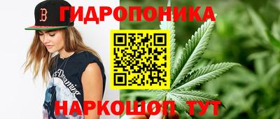 Альфа ПВП Камышлов