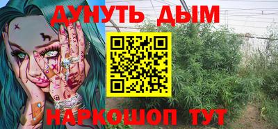 индика Кингисепп