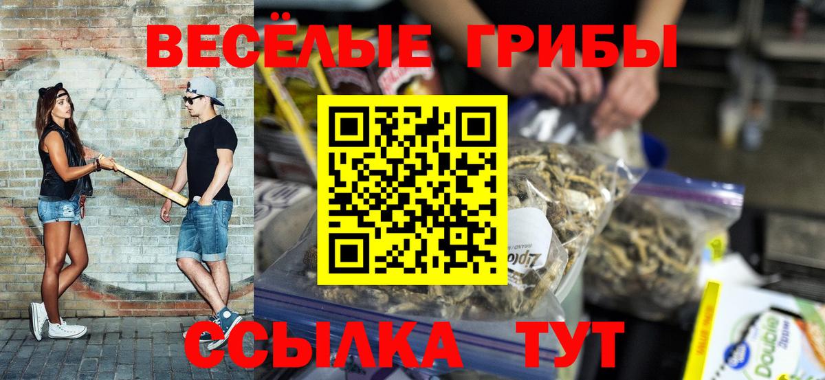 Гусиноозёрск  Галлюциногенные грибы MAGIC MUSHROOMS  наркотики  Вход с VPN 